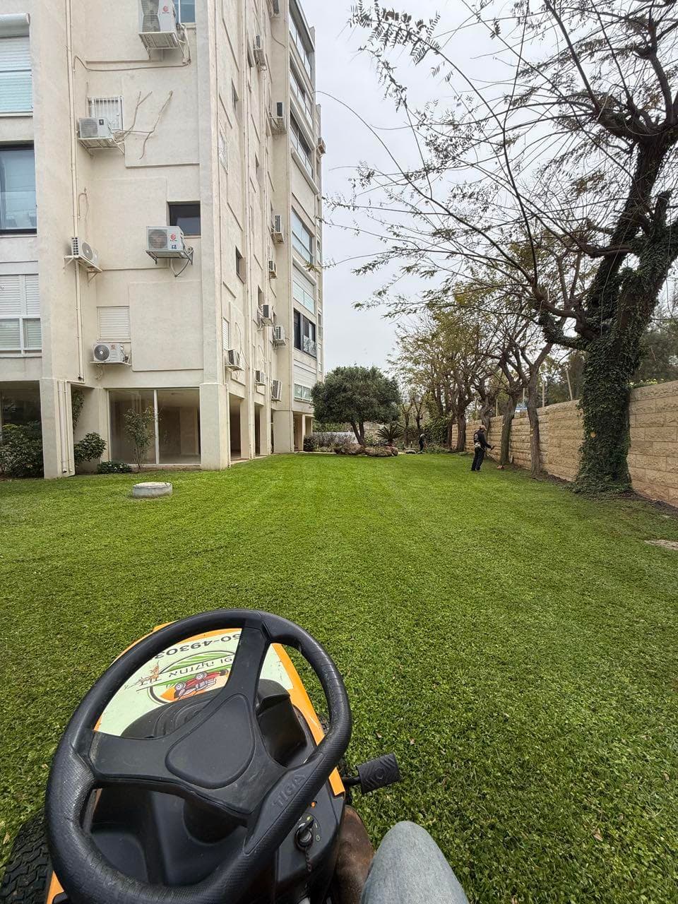 שיחים ועצים